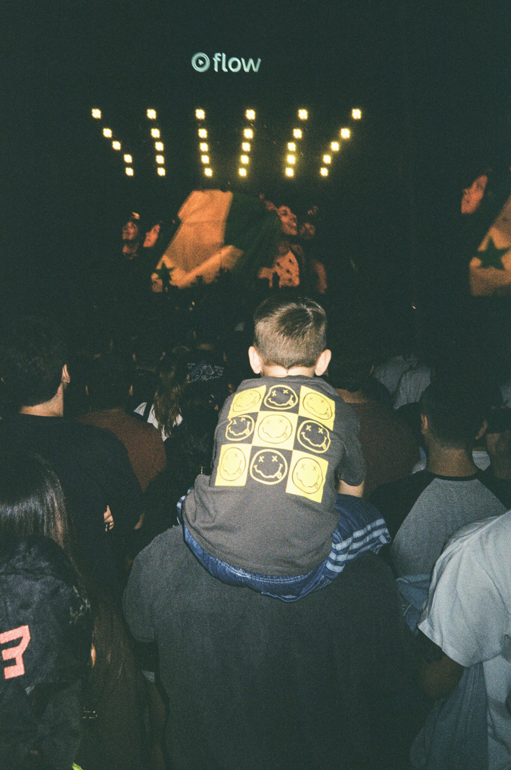 Young man sitting on someone's shoulders at a concert surrounded by a crowd
