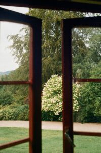 Open window looking out onto a garden with a white flowering bush, a picture of leaving the door open to be pursued